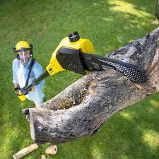 Best Firewood Processing and Delivery  in Iyanbito, NM