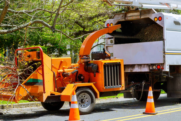 Best Firewood Processing and Delivery  in Iyanbito, NM
