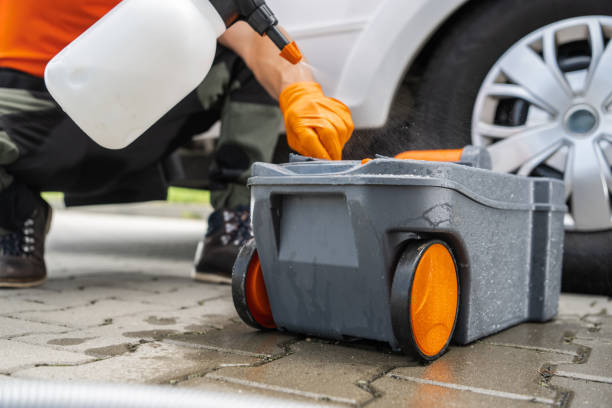 Best Tree and Shrub Care  in Iyanbito, NM